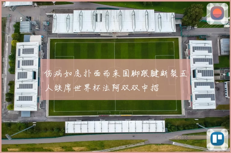 伤病如虎扑面而来国脚跟腱断裂五人缺席世界杯法阿双双中招